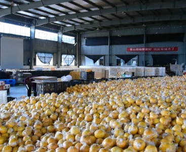 順豐快遞給手動液壓搬運車消毒，保障生鮮瓜果食品安全